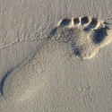 1788     Footprint in the Sand